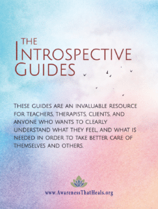 Introspective Guides Cover (Rev 3)